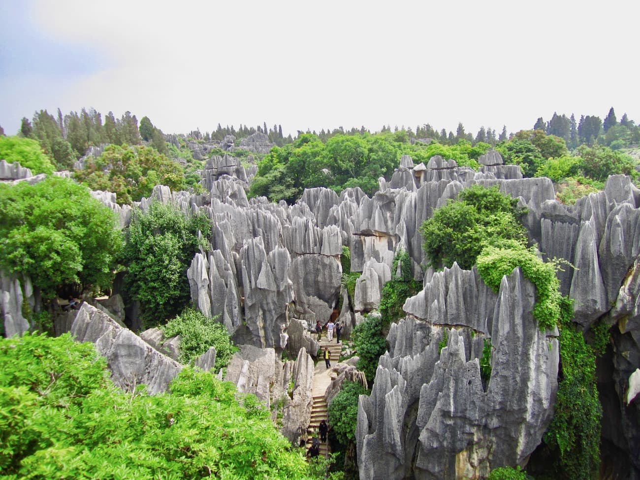 stone forest yunnan