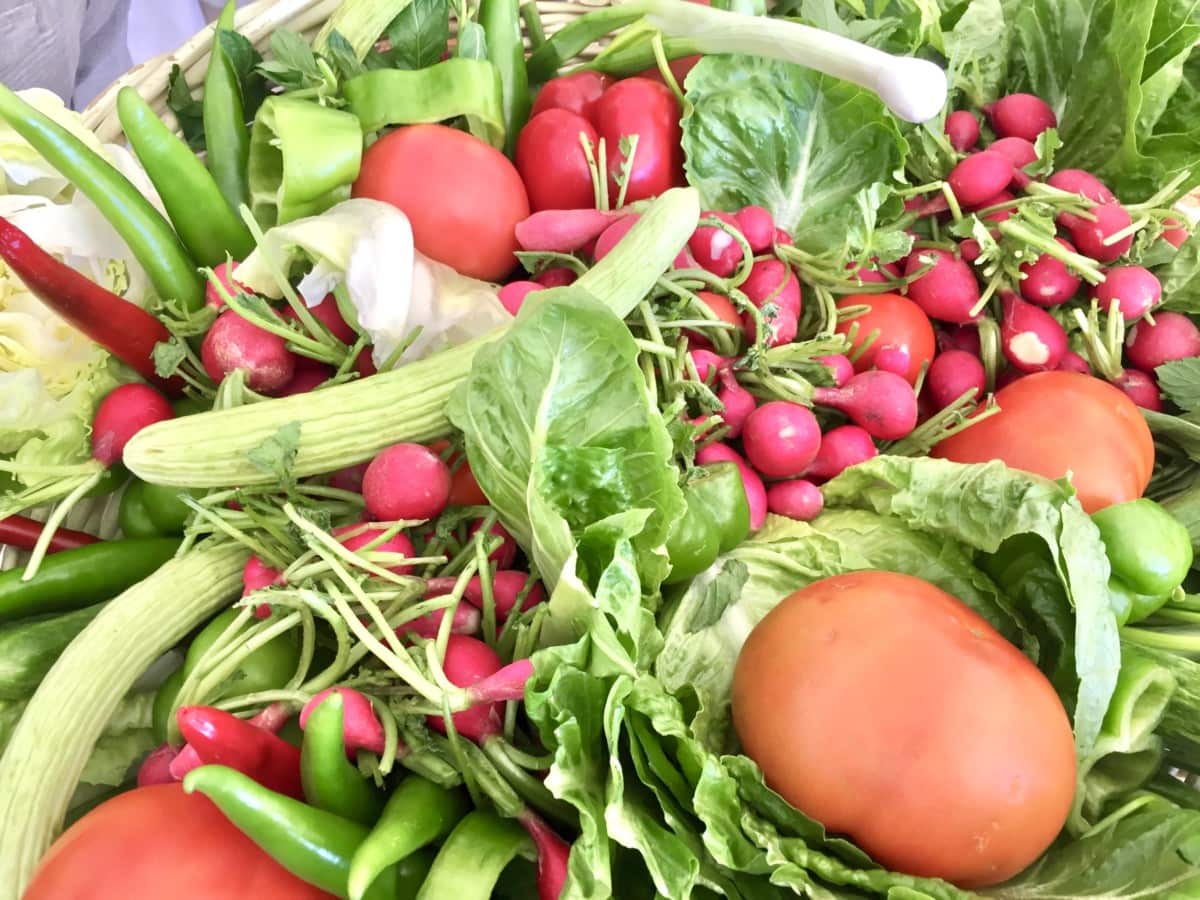 Top 10 Foods to Try in Lebanese Cuisine - Bohemian Vagabond - Jacki Ueng