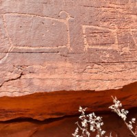 moab pictographs
