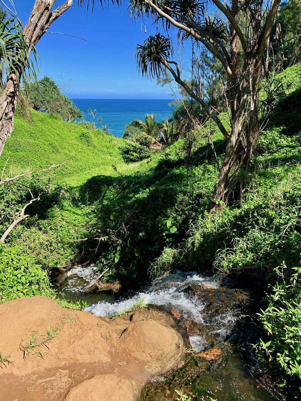 waterfall kauai